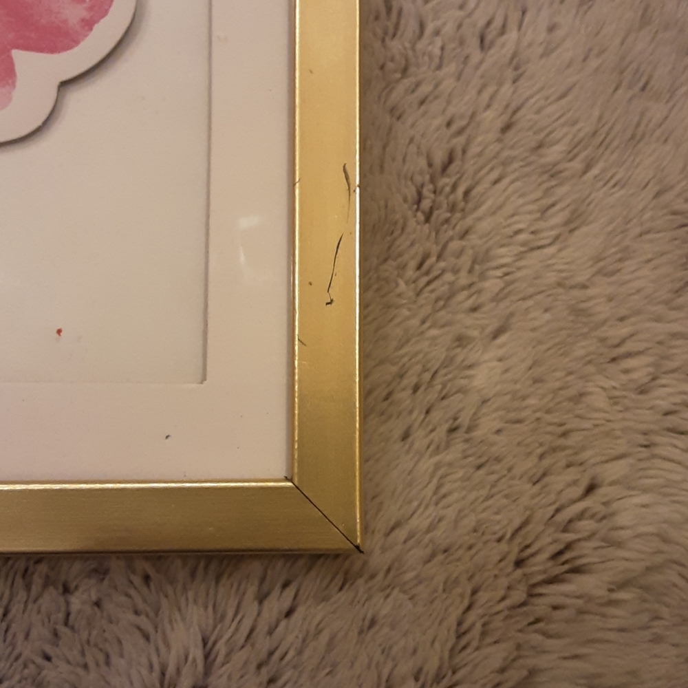 Pictures - Picture 3 of 3